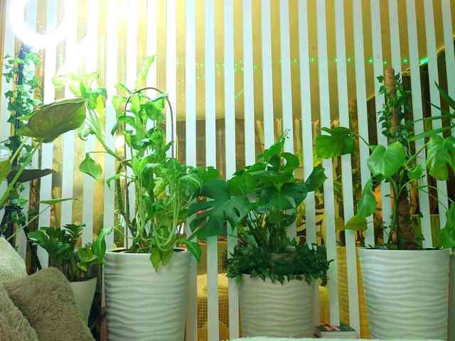 -Violettttta- webcam