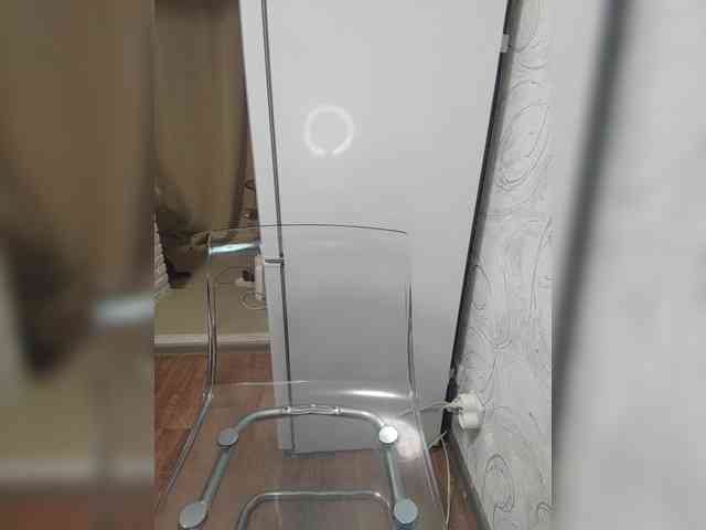 Mandarinka8 webcam