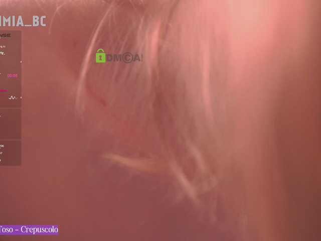 SashiMIa webcam
