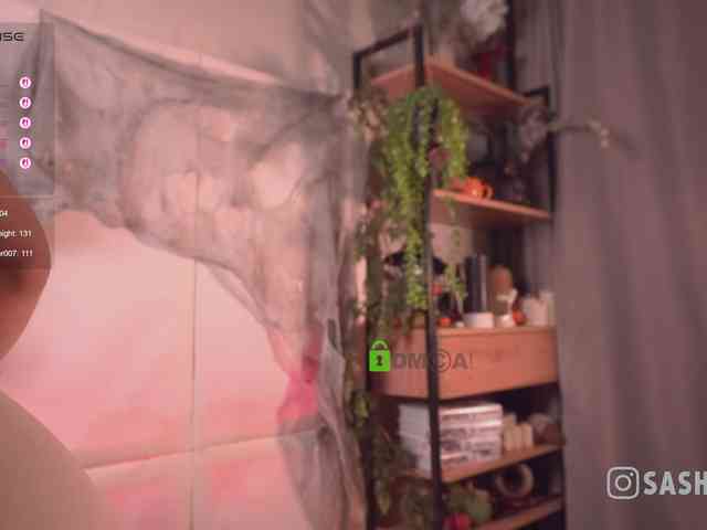 SashiMia webcam