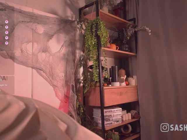 SashiMia webcam
