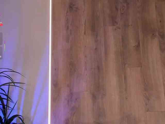 SophiePalmer webcam