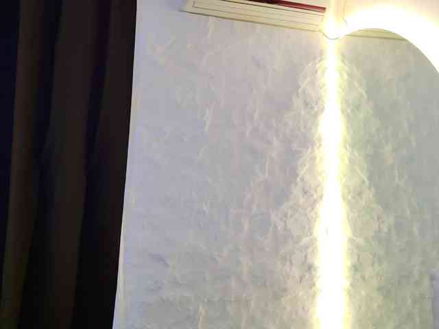 Moniqque webcam