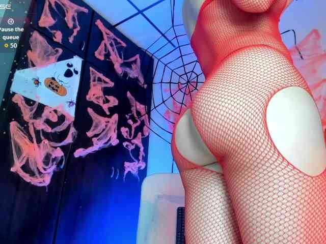 Lisvandre webcam