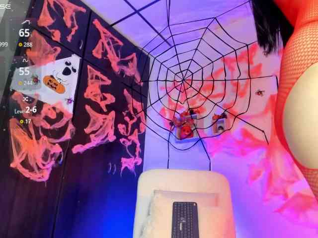 Lisvandre webcam