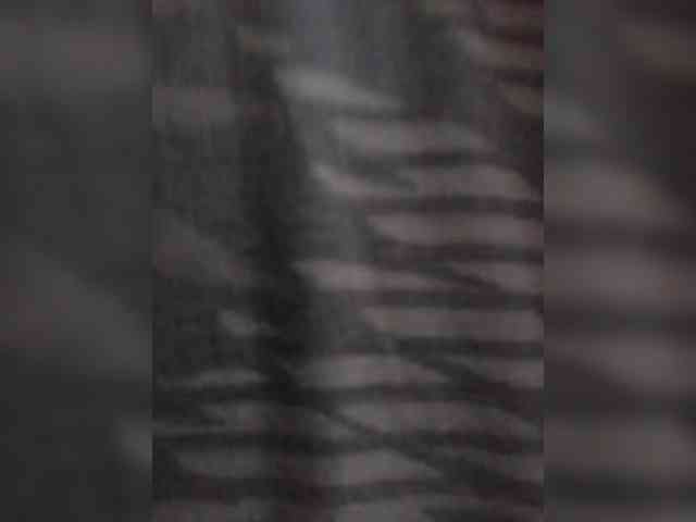 TISE webcam