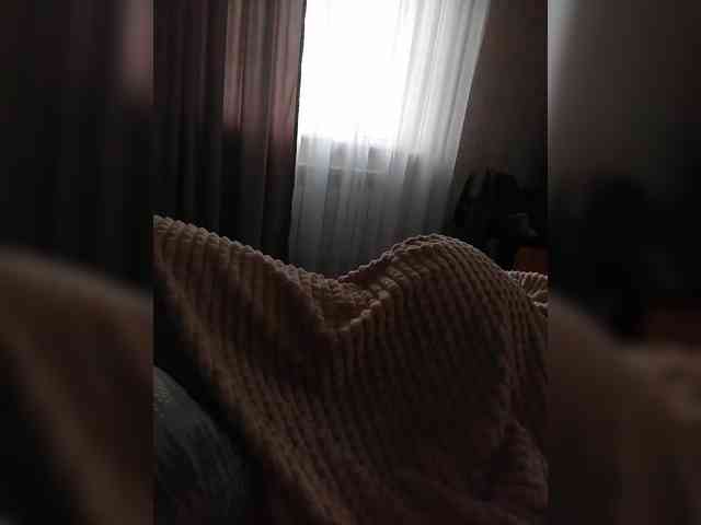 TISE webcam