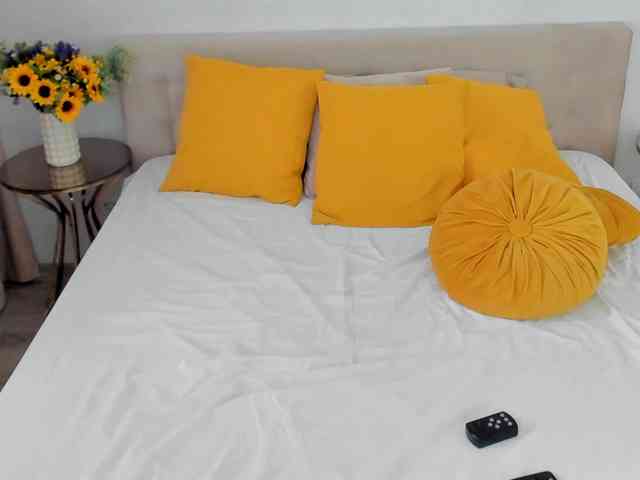 SuaveGia webcam