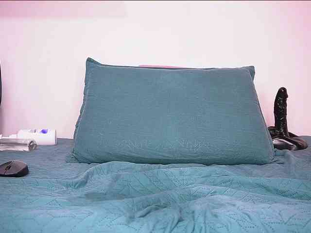 ale-evanz webcam