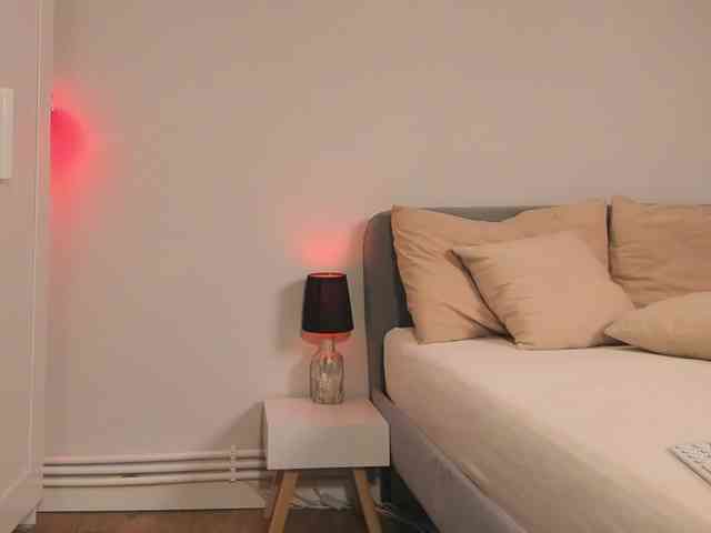 ShySara webcam