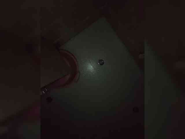 Polichkaaaa webcam