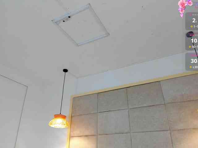 janaadhara webcam