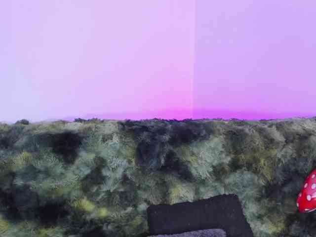 Persefone_666 webcam