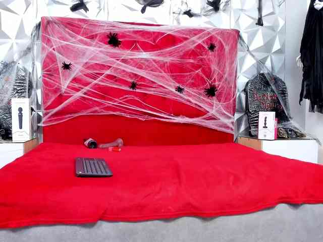 steacy-19 webcam