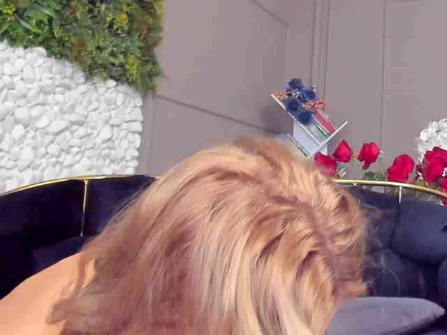 UnforseenLand webcam