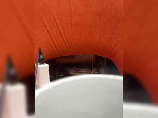 CuteKitty00 webcam