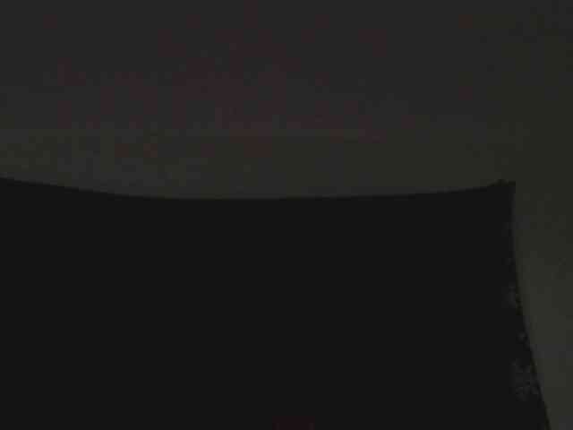 Calistud94