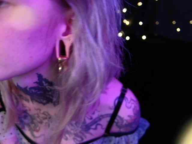 LittleSpaceMouse- webcam