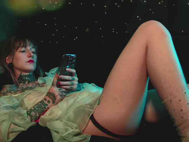 LittleSpaceMouse- webcam