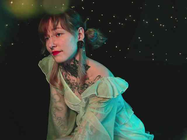 LittleSpaceMouse- webcam