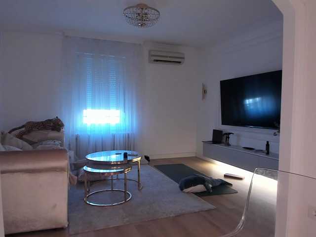 seilyfox webcam