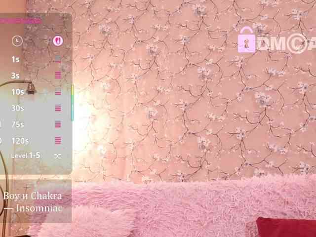 IILSO webcam