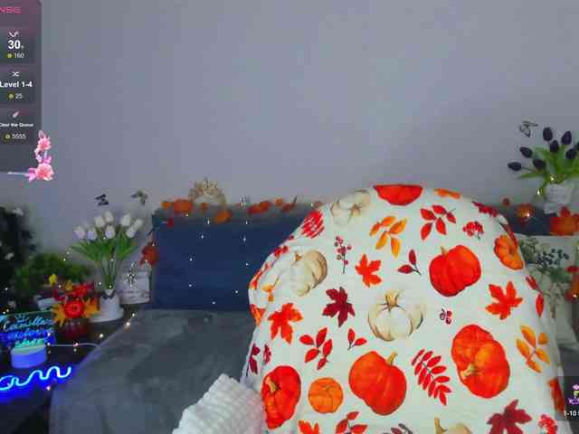 Camilla-One webcam