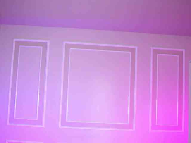 EvaZane webcam