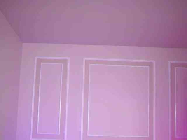EvaZane webcam