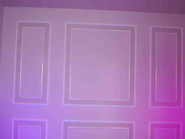 EvaZane webcam
