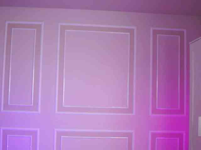 EvaZane webcam