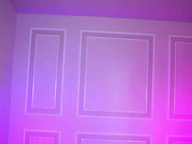 EvaZane webcam