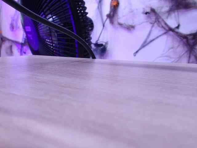 gabry-leone webcam