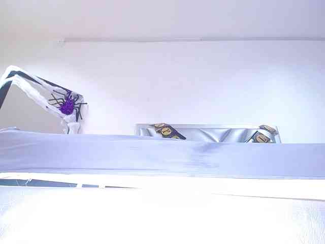 exotic-karmella webcam