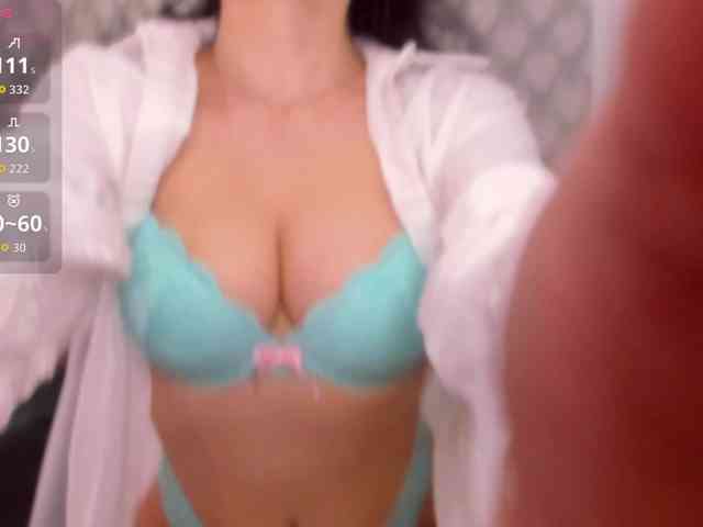 Kaydes webcam