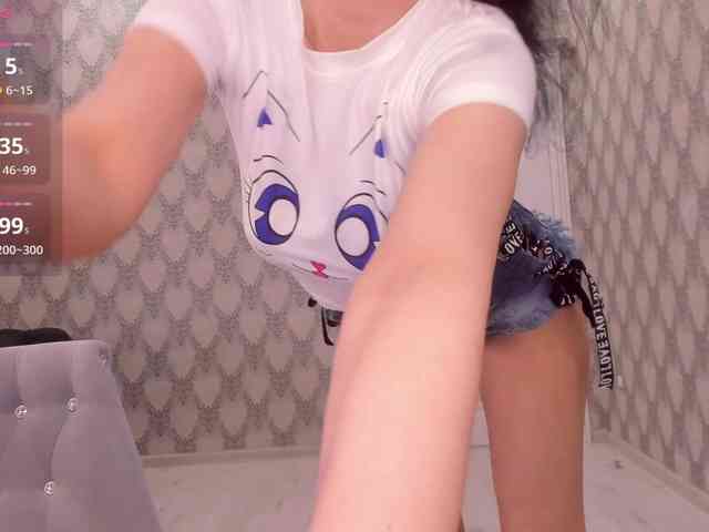 Kaydes webcam