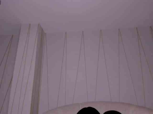 SunnyRiversX webcam