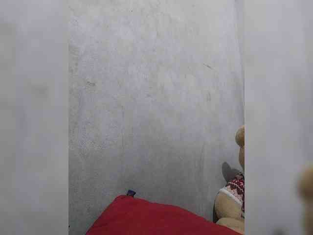 revive02 webcam