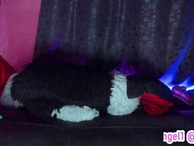 cata-anngel webcam
