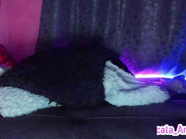 cata-anngel webcam