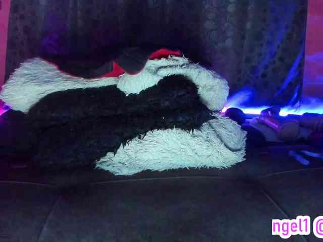 cata-anngel webcam