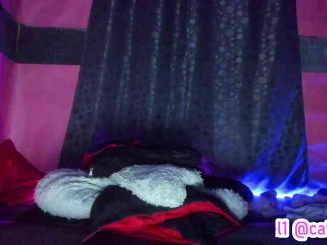 cata-anngel webcam