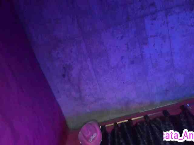 cata-anngel webcam