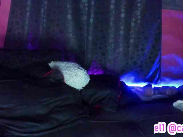 cata-anngel webcam
