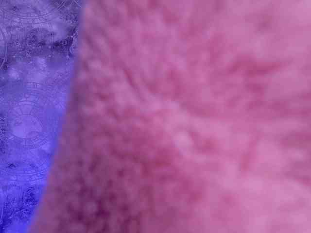Jessica-Wheeler webcam