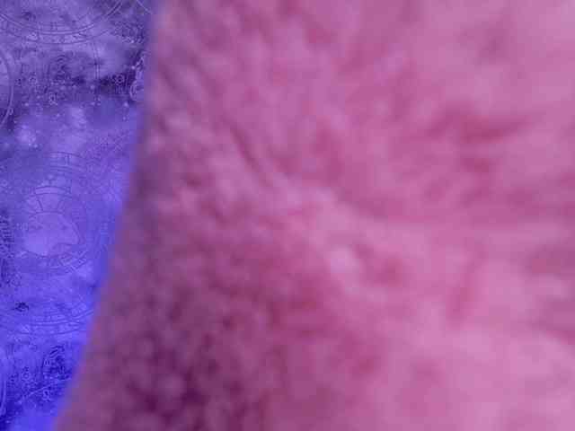 Jessica-Wheeler webcam