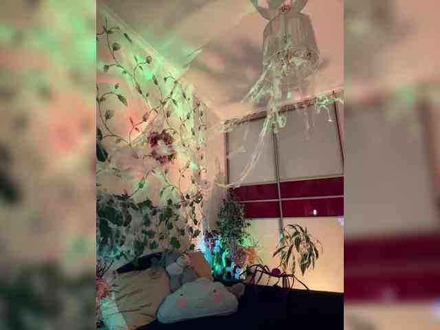 WednesdayFridayAddams webcam