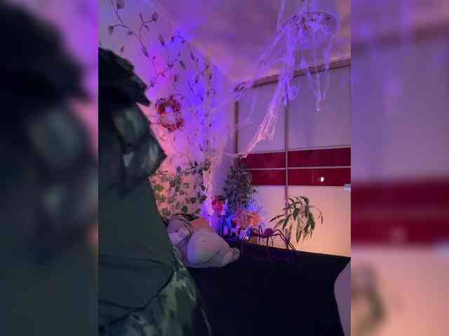 WednesdayFridayAddams webcam