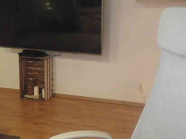 AriaModel webcam