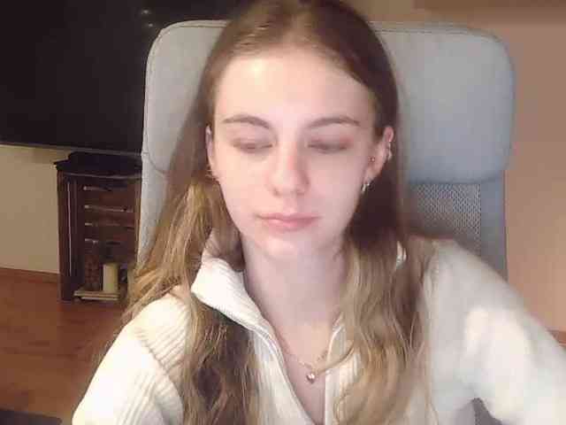 AriaModel webcam